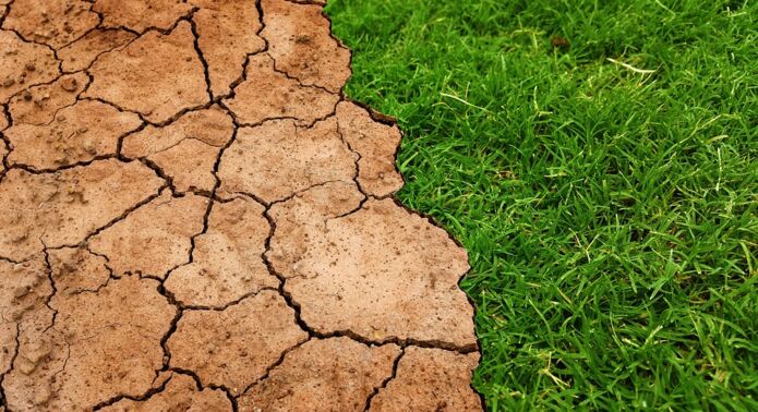 Region: Rolnicy mogą ubiegać się o kredyt na straty w wyniku suszy
