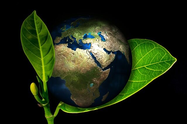 Dziś Światowy Dzień Ochrony Środowiska